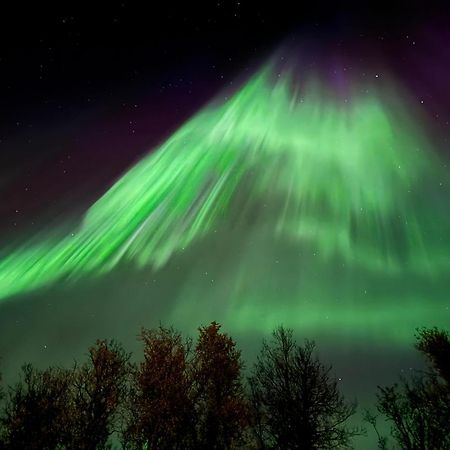 Hakoya Lodge Tromsø Exteriér fotografie