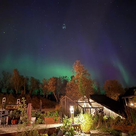 Hakoya Lodge Tromsø Exteriér fotografie