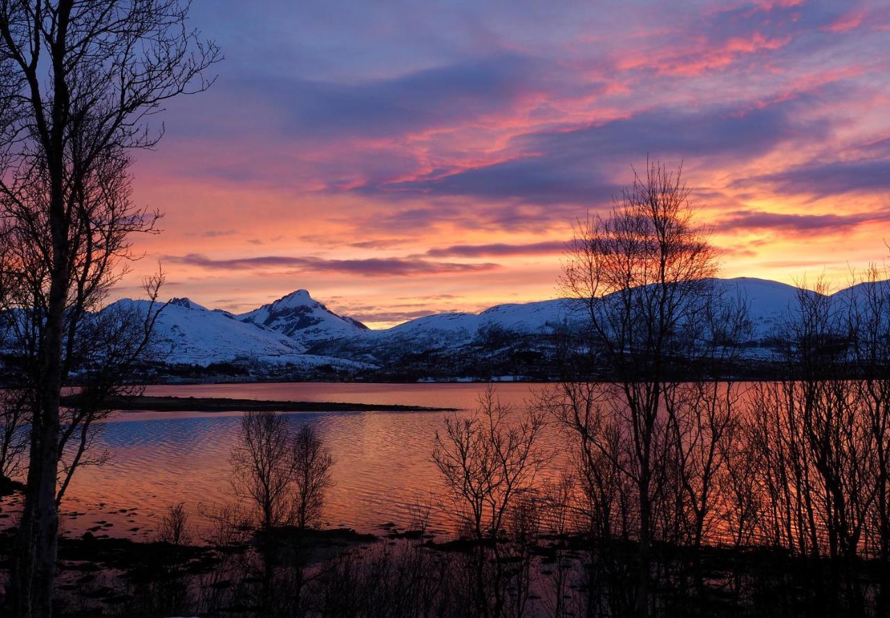 Hakoya Lodge Tromsø Exteriér fotografie
