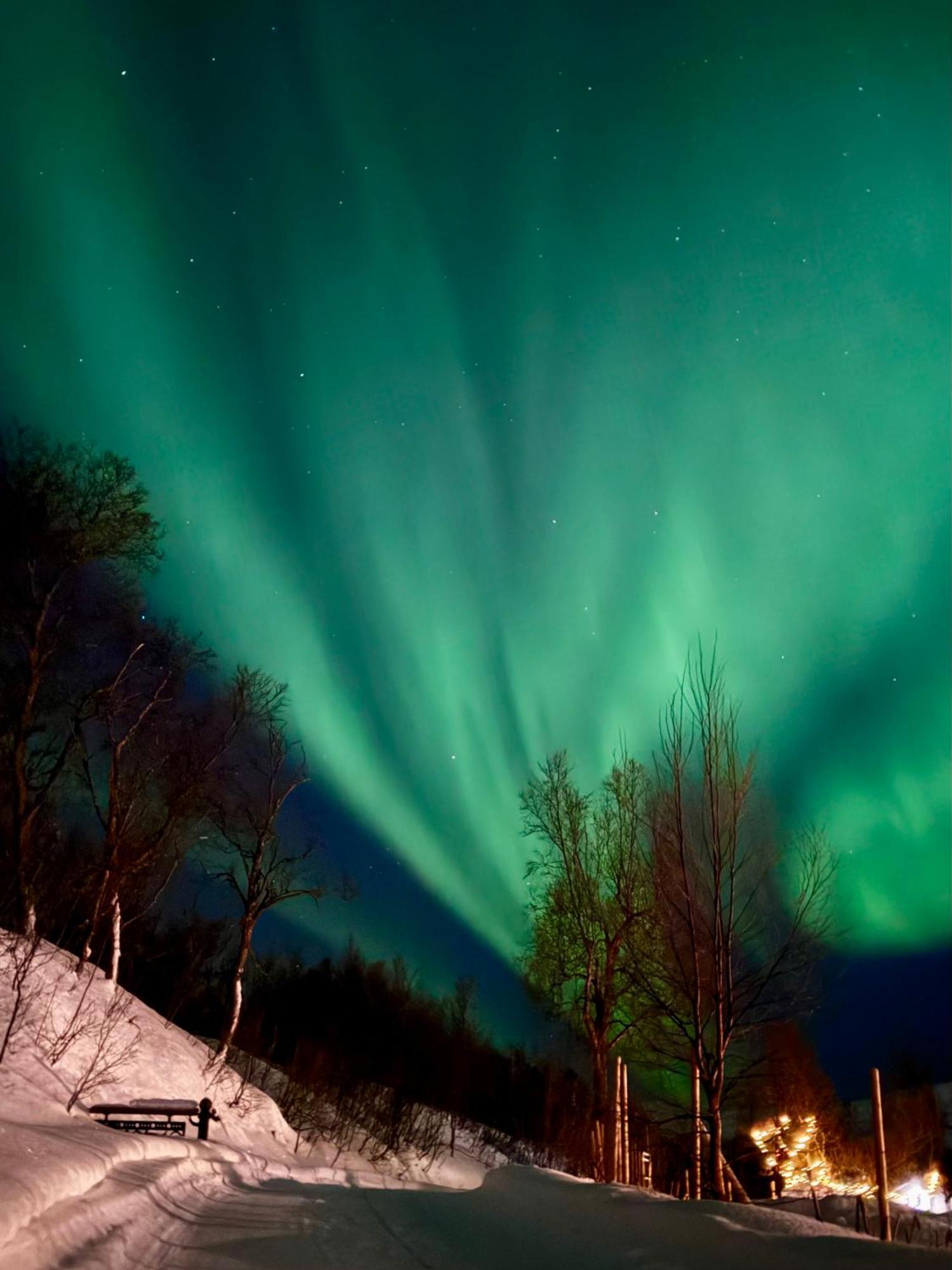 Hakoya Lodge Tromsø Exteriér fotografie